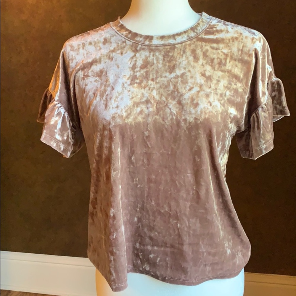 Altard State Pink Velvet Ruffle Sleeve Top